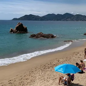 Le Palm Azur Cannes